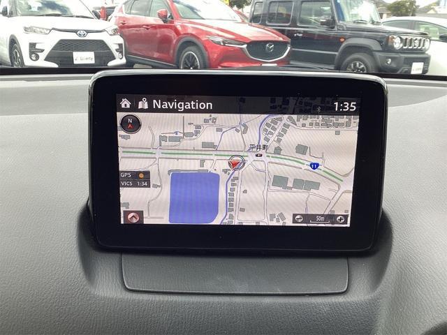 21039682_carP_l_17.jpg
