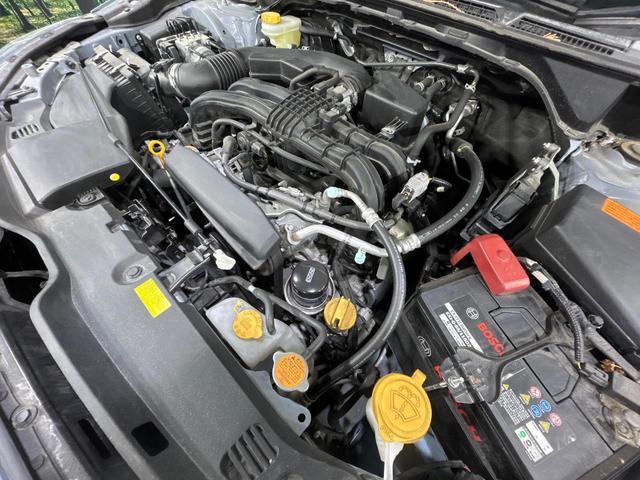 22975667_carP_l_16.jpg