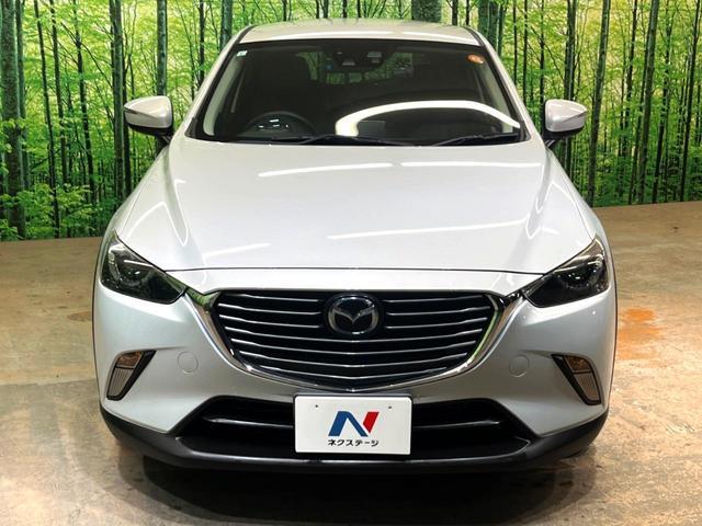 21113845_carP_l_2.jpg