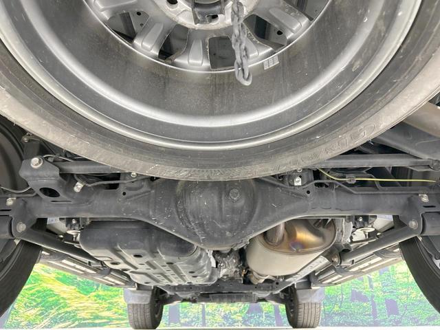21928687_carP_l_18.jpg