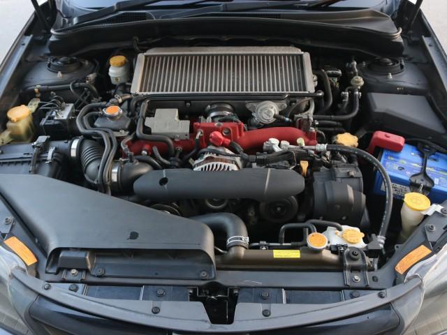 22605417_carP_l_17.jpg