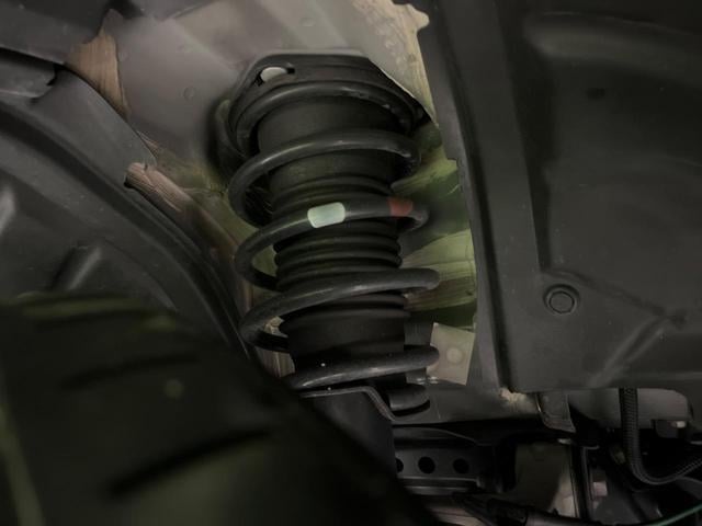 19770026_carP_l_18.jpg