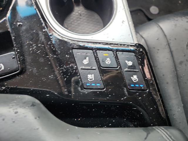 lotterental_22482004_MiQKN_9.jpg