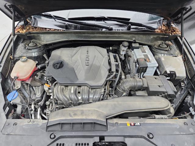 lotterental_224926536_fODps_1.jpg