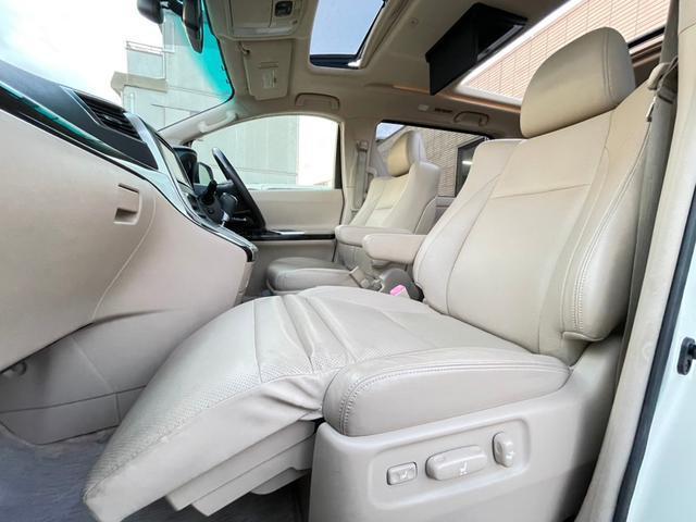 22937460_carP_l_9.jpg