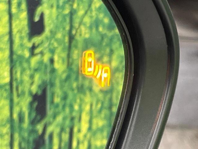 22855723_carP_l_14.jpg