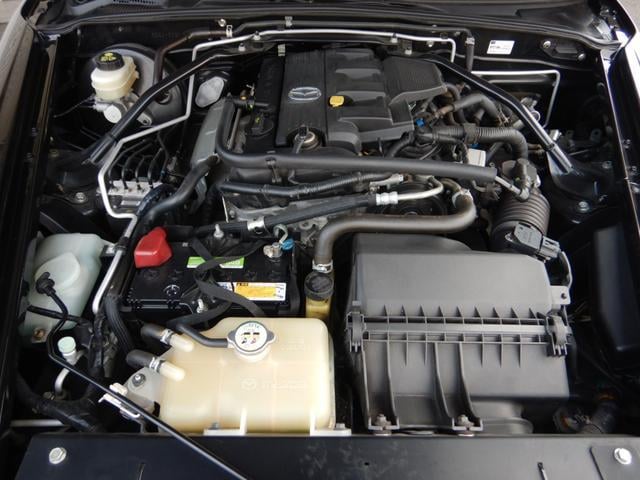 0206171A30251119W00118.jpg