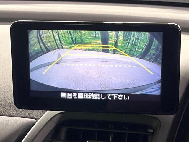 22600777_carP_l_10.jpg