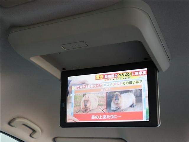 ac33cdb25517b90eeb4bf39009e45742.jpg