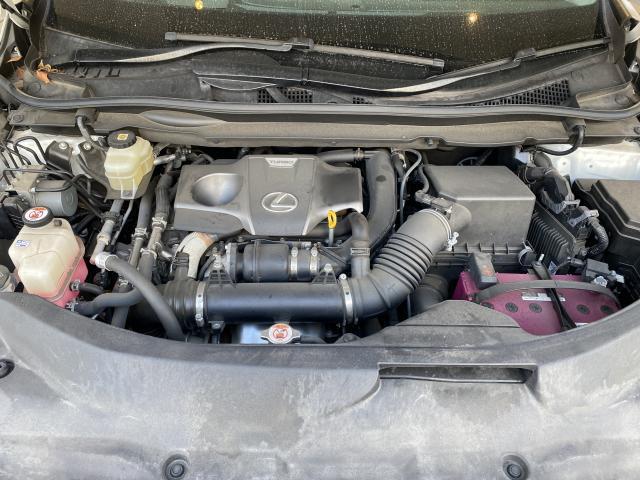 21946723_carP_l_17.jpg
