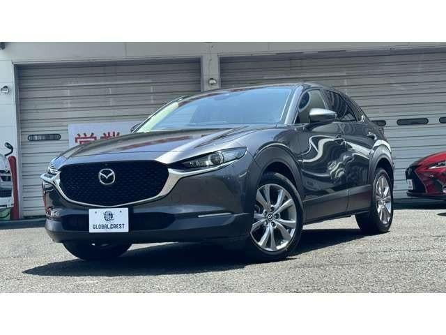 1100035A30250717W00107.jpg