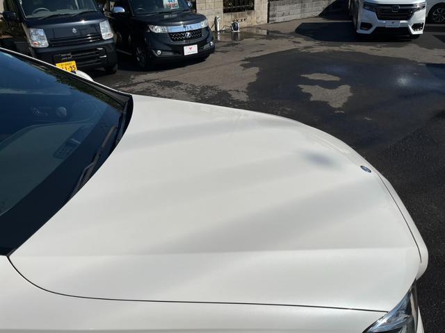 22182109_carP_l_18.jpg