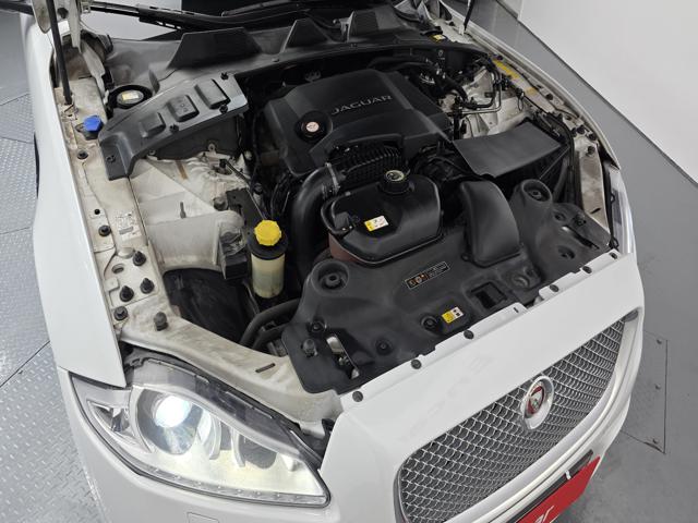 b7b8cae88f056074d4b6db91a3bc74d2.jpeg