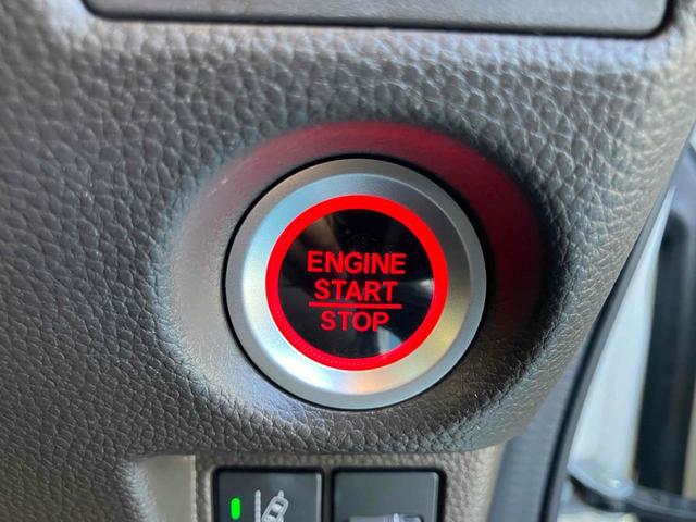 0122125A30260225W00309.jpg