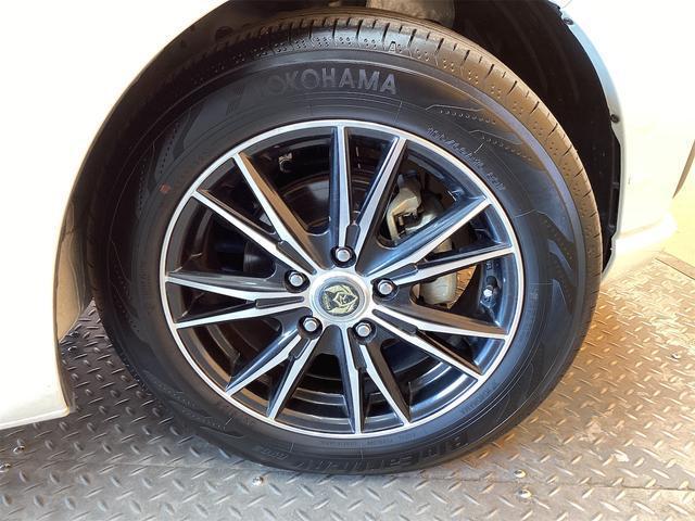 19641037_carP_l_6.jpg