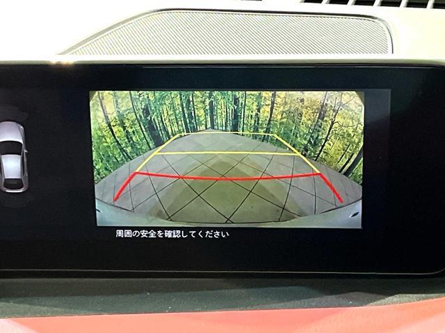 21654517_carP_l_10.jpg