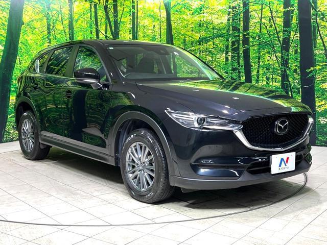 21873610_carP_l_11.jpg