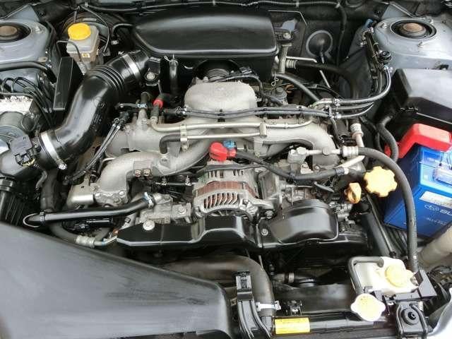 17948862_carP_l_16.jpg