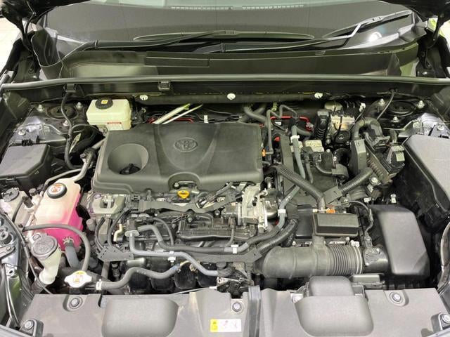 17921381_carP_l_12.jpg