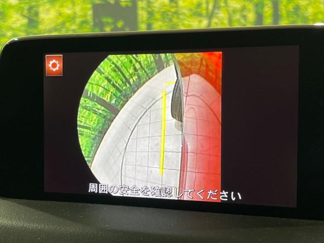 21391974_carP_l_13.jpg
