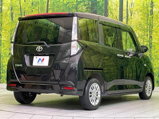 21689993_carP_l_12.jpg