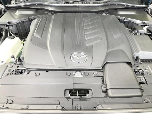23150089_carP_l_16.jpg
