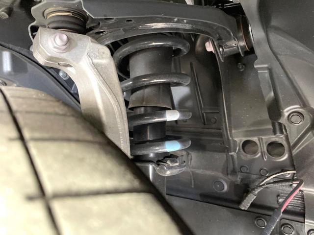 23150089_carP_l_20.jpg