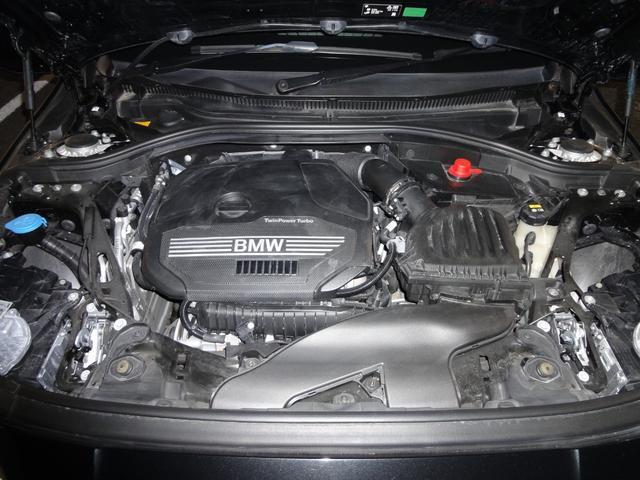 21817904_carP_l_18.jpg