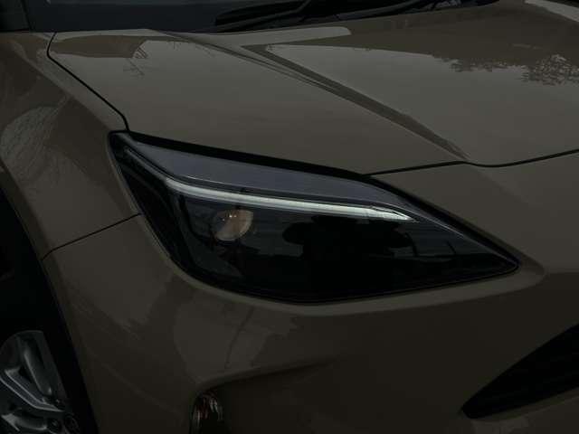 0302944A30260411W00317.jpg