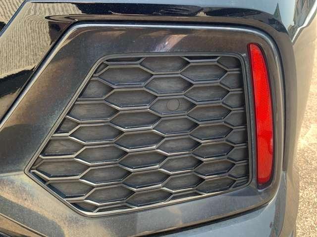23132981_carP_l_20.jpg
