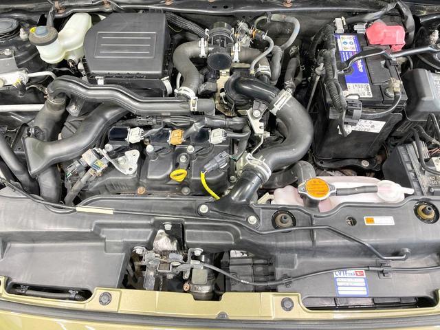21854752_carP_l_16.jpg