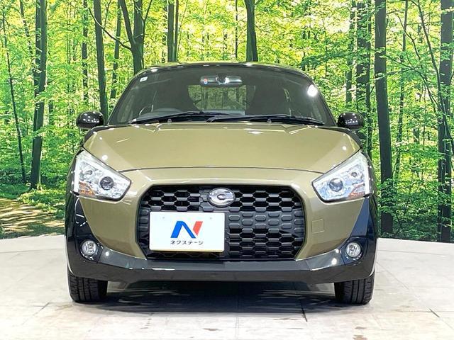 21854752_carP_l_8.jpg