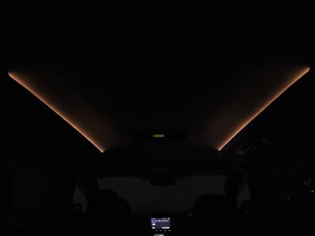 0541413A30260319W02313.jpg