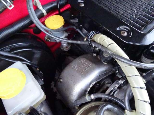 19488787_carP_l_7.jpg