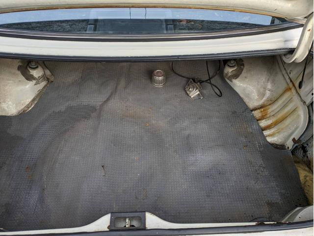 21741588_carP_l_10.jpg