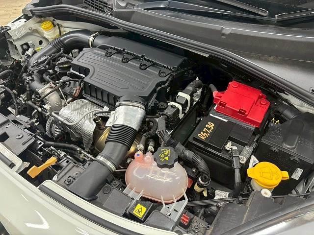 19893559_carP_l_9.jpg