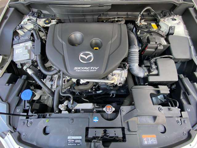 3136f1bac40da5fca3613c57eb91d942.jpg