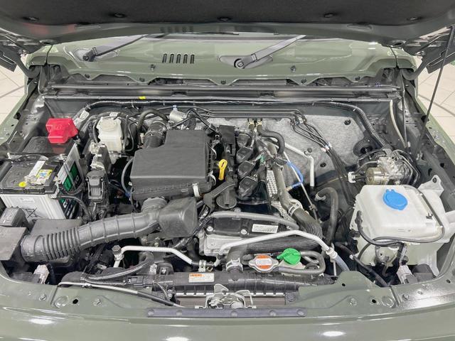 20590546_carP_l_16.jpg