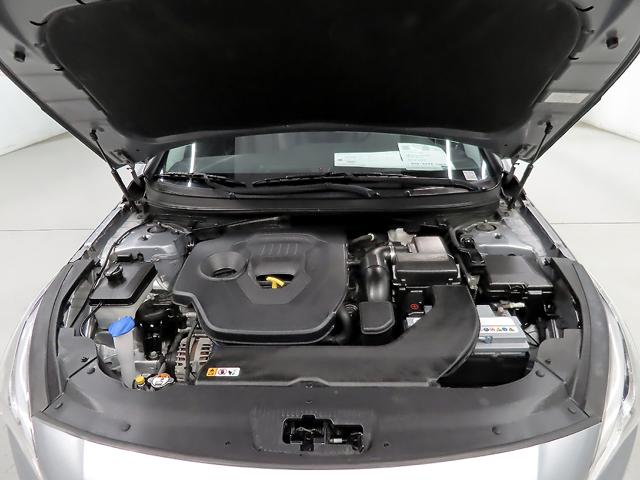 ab64895c08bbfab5326f71b39721d179.jpeg