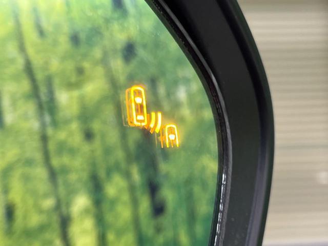 22372623_carP_l_10.jpg