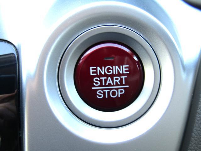 0403558A30260122W01217.jpg