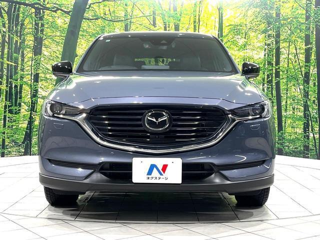 21672119_carP_l_9.jpg