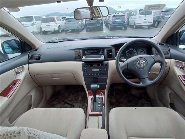 06.jpg