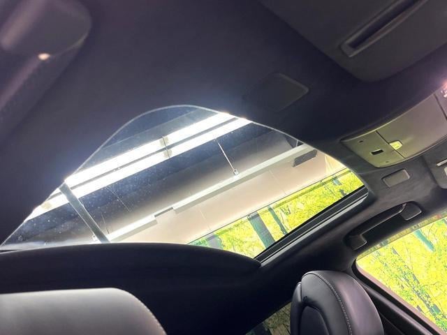 21061555_carP_l_15.jpg