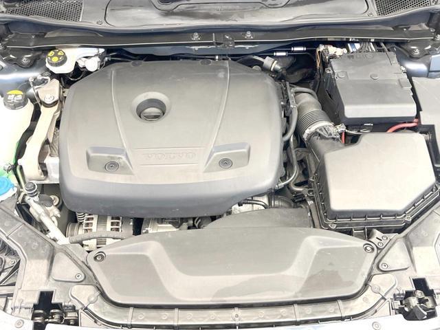 21966103_carP_l_16.jpg