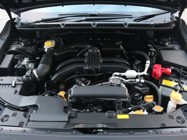22942569_carP_l_17.jpg