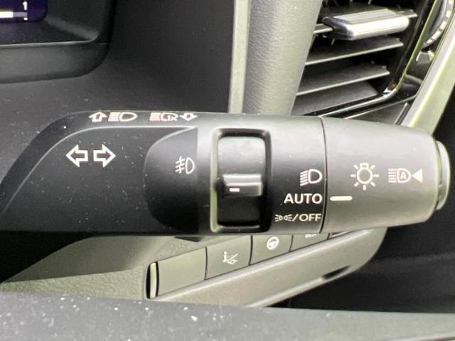 21277117_carP_l_11.jpg