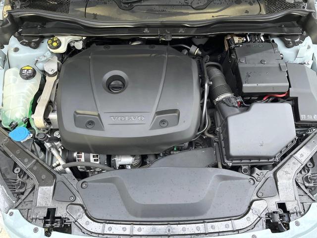 21343446_carP_l_11.jpg