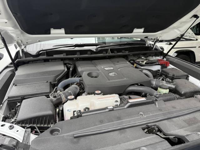 19243968_carP_l_17.jpg