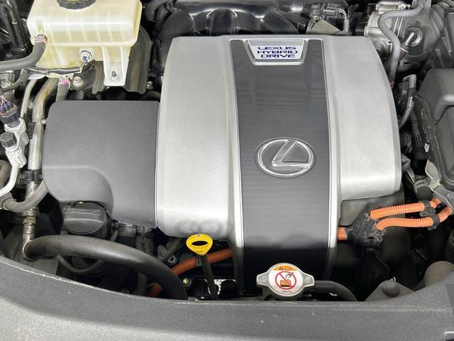 18711700_carP_l_18.jpg